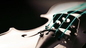 Concerto Violin Festival 1.