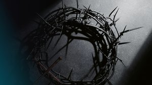 Nagypénteki koncert: BACH / Máté-passió 